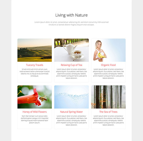 Hot Natura in Joomla Themes - product preview 3