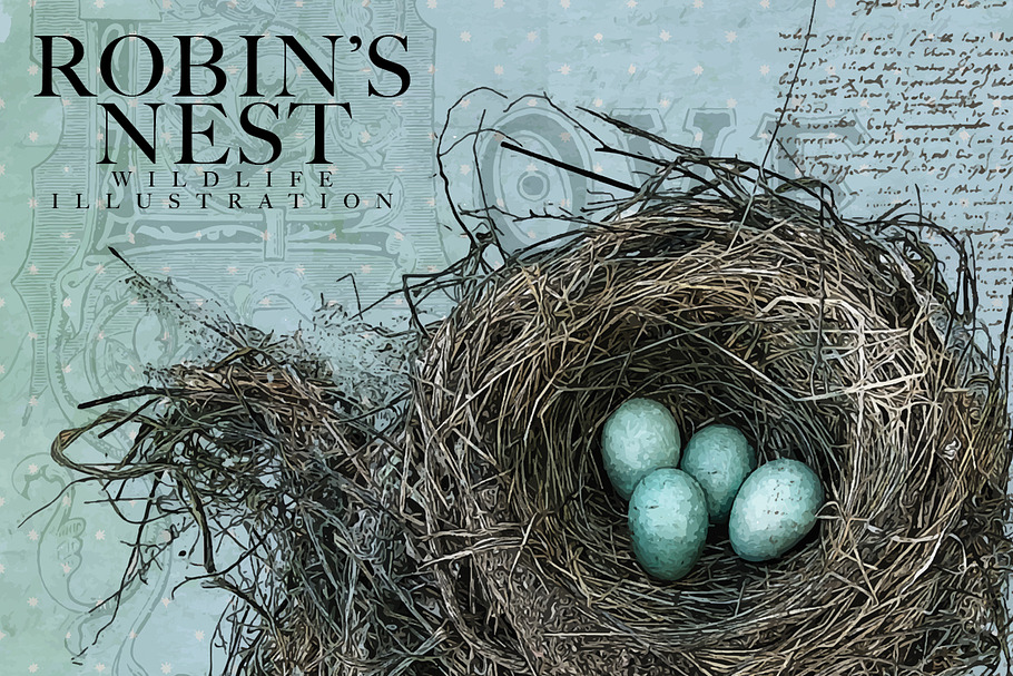 Robin's Nest Vector Illustration