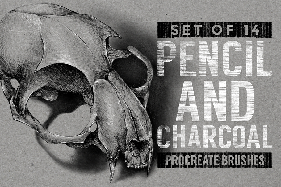 Pencil & charcoal Procreate brushes in Photoshop Brushes - product preview 8