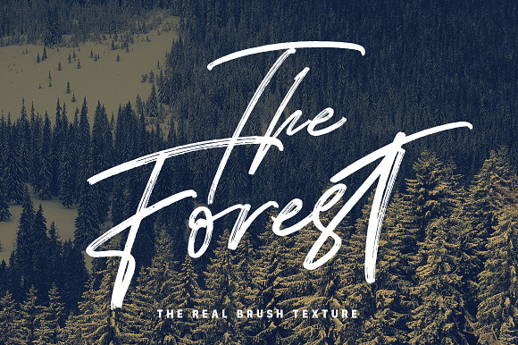 25%OFF - Significent Wild Brush in Brush Fonts - product preview 6