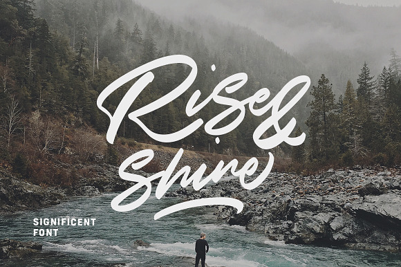 25%OFF - Significent Wild Brush in Brush Fonts - product preview 7