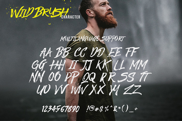 25%OFF - Significent Wild Brush in Brush Fonts - product preview 16