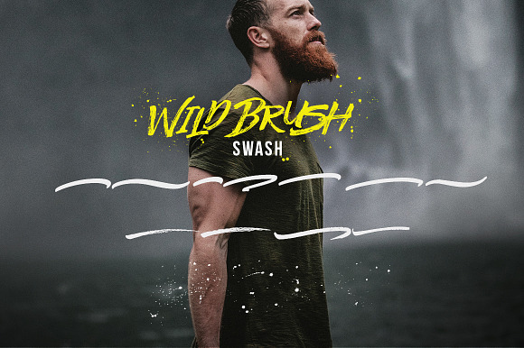 25%OFF - Significent Wild Brush in Brush Fonts - product preview 17