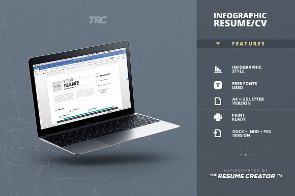 Infographic Resume/Cv Template Vol.5 in Resume Templates - product preview 4