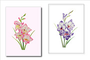 Watercolor Clipart Gladiolus
