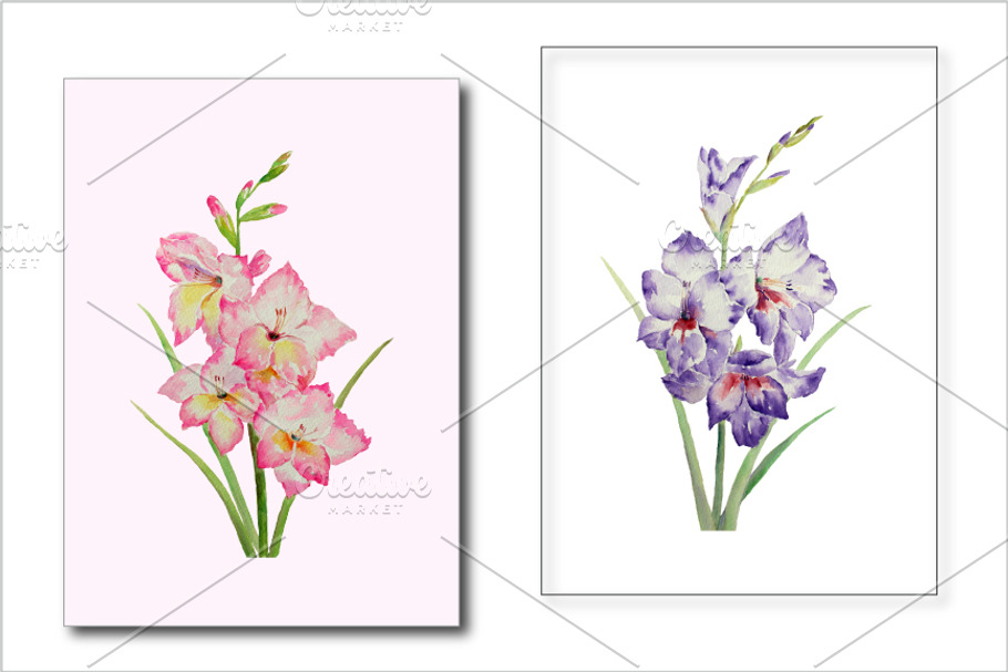 Watercolor Clipart Gladiolus in Illustrations - product preview 8