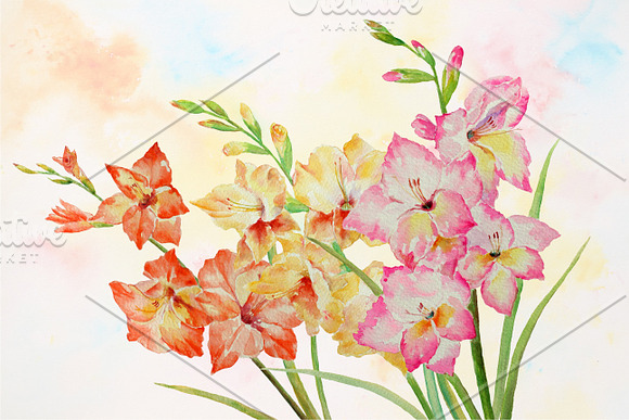Watercolor Clipart Gladiolus in Illustrations - product preview 2