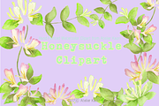 Honeysuckle Clipart