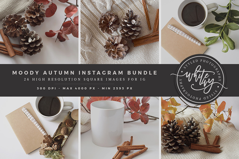Moody Autumn Instagram Stock Bundle in Product Mockups - product preview 8