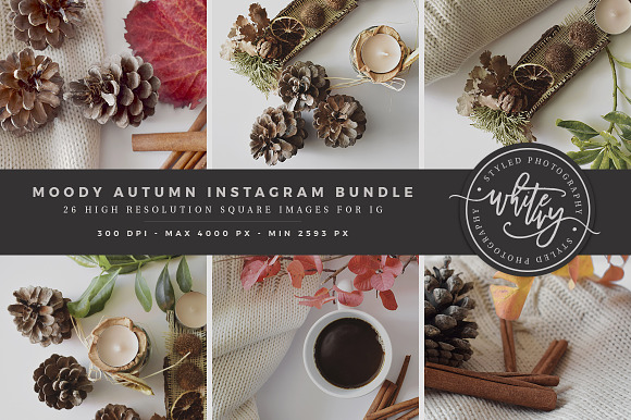 Moody Autumn Instagram Stock Bundle in Product Mockups - product preview 1