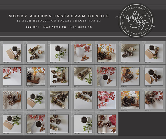 Moody Autumn Instagram Stock Bundle in Product Mockups - product preview 2