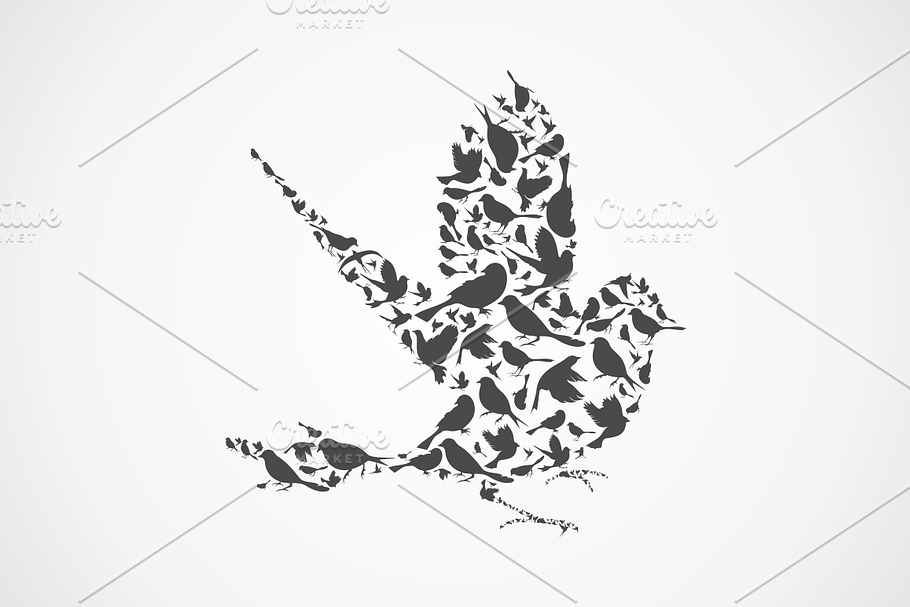 Birds in Illustrations - product preview 8