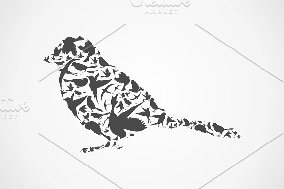 Birds in Illustrations - product preview 3