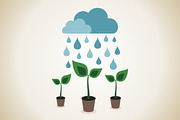 Rain on plant