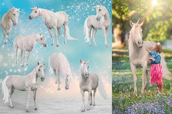 7 - Real Unicorn PNGs - Collection in Objects - product preview 1
