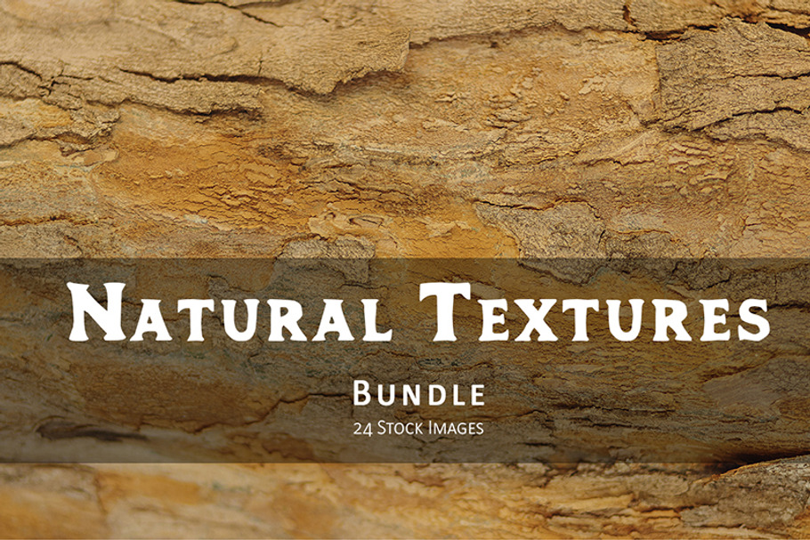 Natural Textures of Wood & Bark