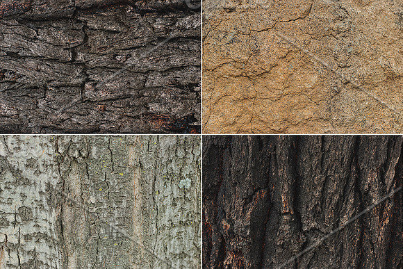 Natural Textures of Wood & Bark in Textures - product preview 2
