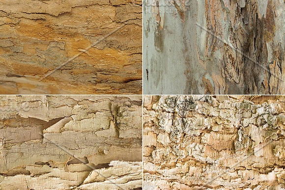 Natural Textures of Wood & Bark in Textures - product preview 6