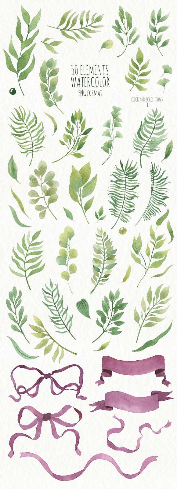 Watercolor Leaves and branches in Illustrations - product preview 4