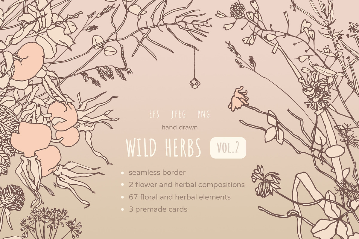 Wild Herbs, vol.2 in Illustrations - product preview 8