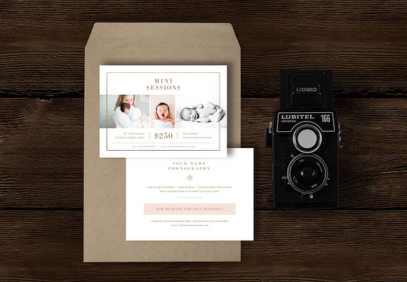 Newborn Mini Session Template Flyer in Flyer Templates - product preview 1