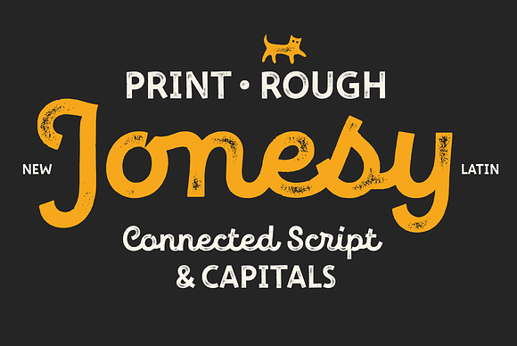 New Jonesy Latin – Font Family in Display Fonts - product preview 1