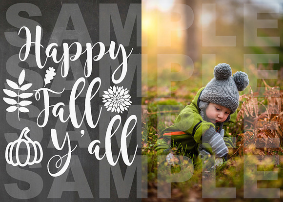 Fall Chalkboard Photo Card Templates in Card Templates - product preview 4