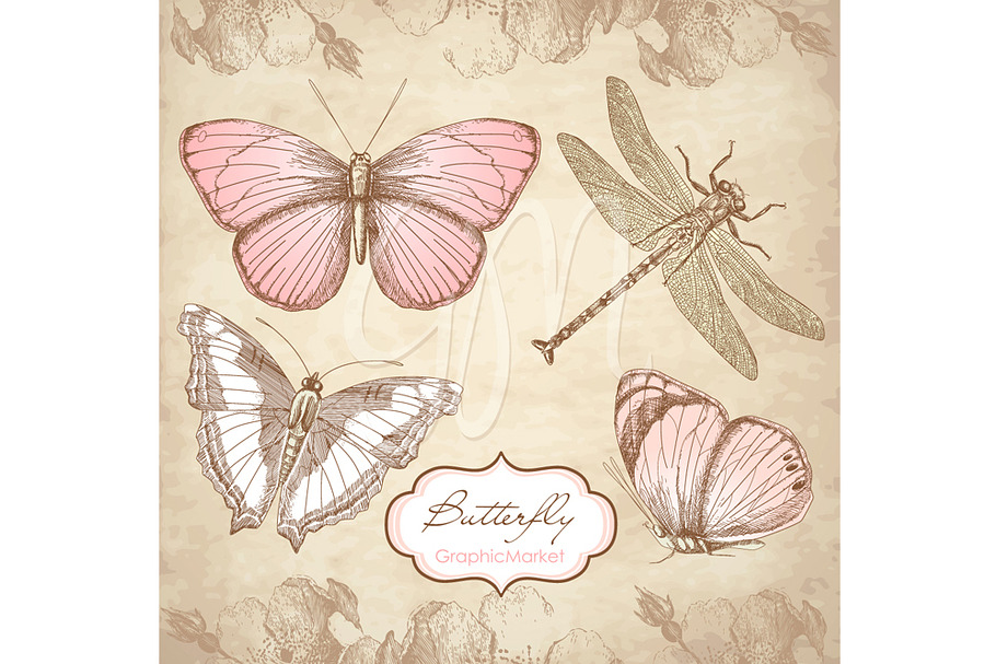 Butterfly Clip Art and digital paper in Illustrations - product preview 8
