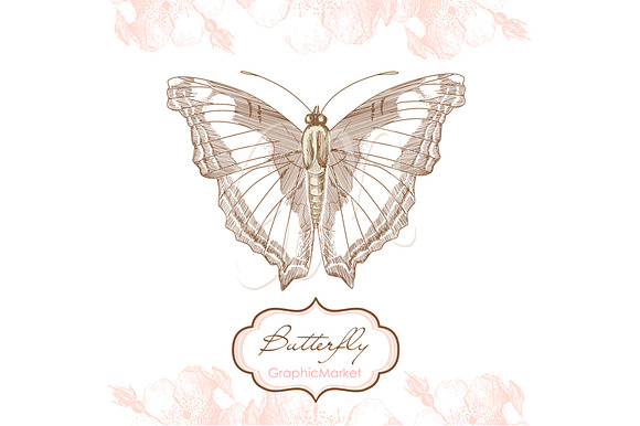 Butterfly Clip Art and digital paper in Illustrations - product preview 1