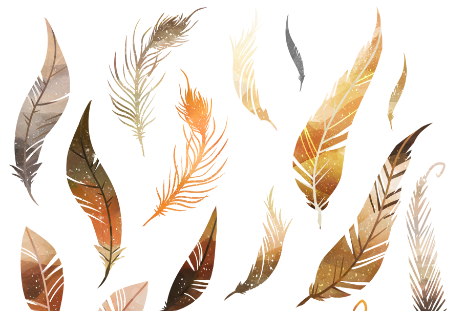 Brown Feathers Clipart