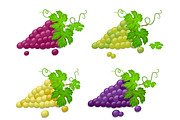 Set of Ripe green and red grapes on a white background.