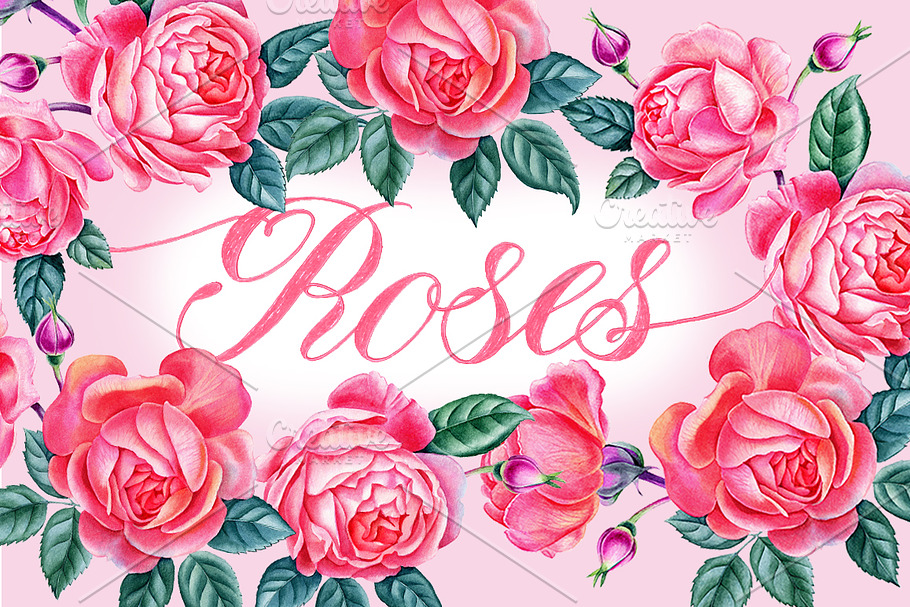 Roses in Illustrations - product preview 8