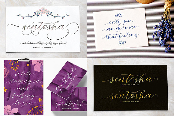 Handwritten Fonts Collection in Hand-lettered Fonts - product preview 19