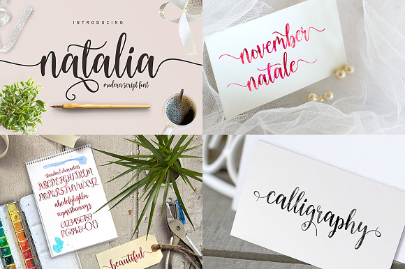 Handwritten Fonts Collection in Hand-lettered Fonts - product preview 25