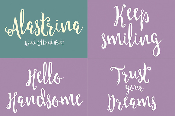 Handwritten Fonts Collection in Hand-lettered Fonts - product preview 38