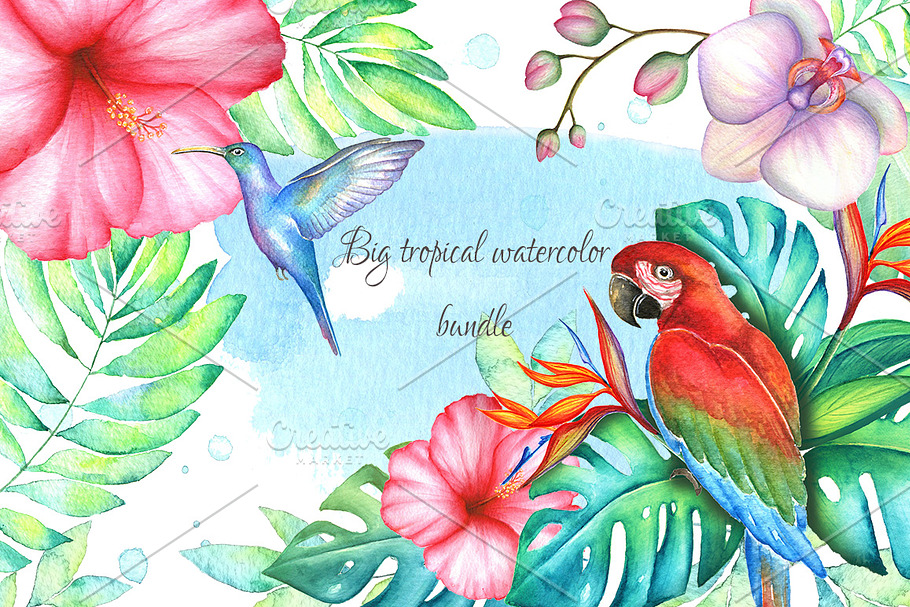 Big tropical bundle in Illustrations - product preview 8