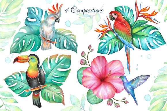 Big tropical bundle in Illustrations - product preview 3