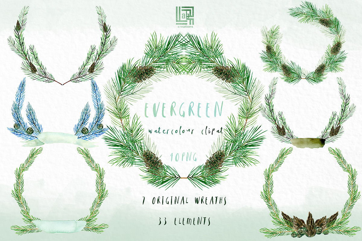 Pine. Watercolor clipart in Illustrations - product preview 8