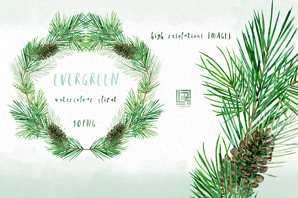 Pine. Watercolor clipart in Illustrations - product preview 3