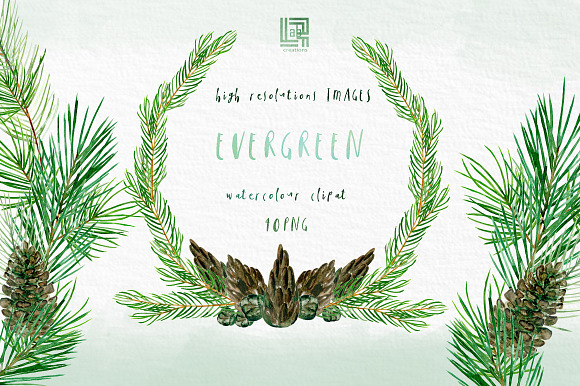 Pine. Watercolor clipart in Illustrations - product preview 4