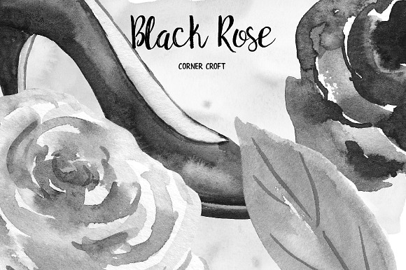 Watercolor Black Rose Collection in Illustrations - product preview 7