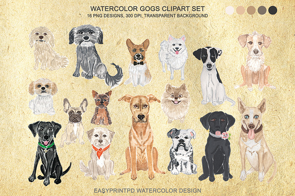 Dog Breeds Clipart Watercolor in Illustrations - product preview 1