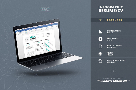 Infographic Resume/Cv Template Vol.7 in Resume Templates - product preview 4