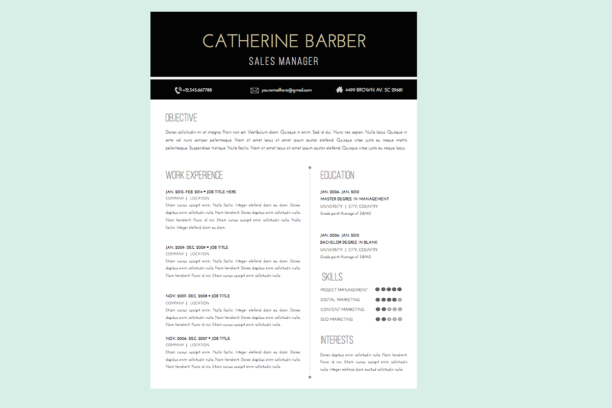 Resume Template + Cover Letter WORD in Letter Templates - product preview 8