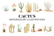 Desert Cactus Watercolors