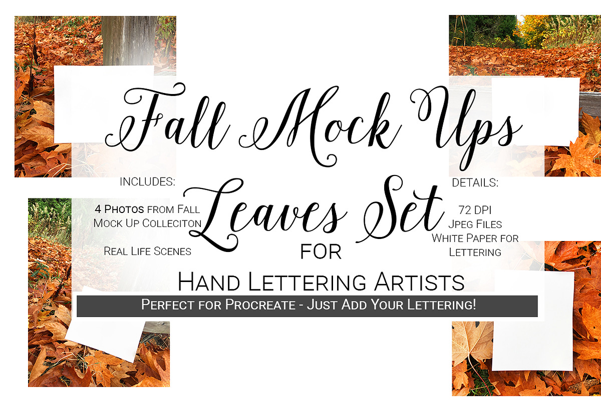 Fall Mock Ups | Leaves Set in Mockup Templates - product preview 8