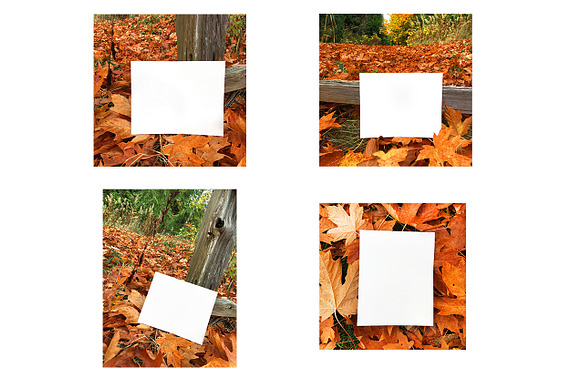 Fall Mock Ups | Leaves Set in Mockup Templates - product preview 1