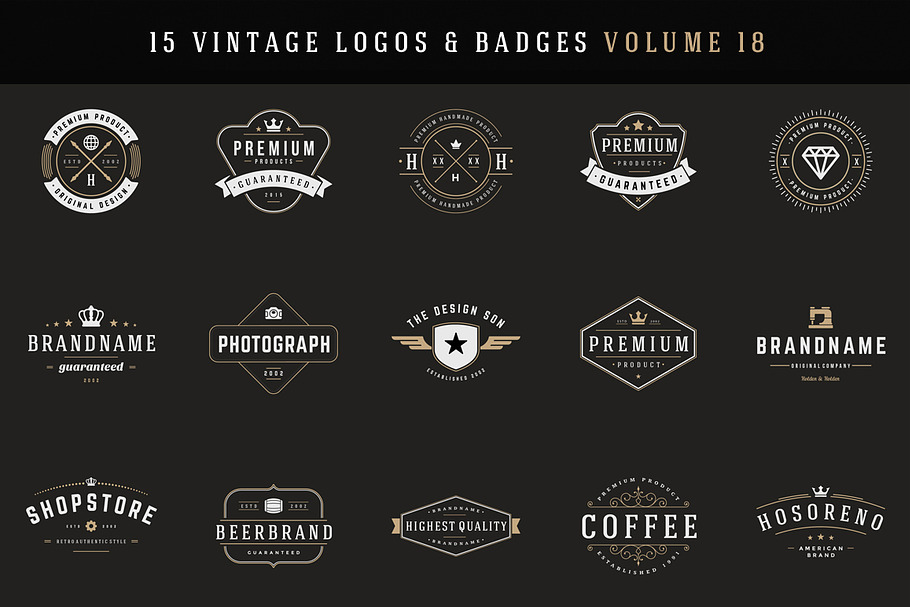 15 Retro Vintage Logotypes or Badges in Logo Templates - product preview 8