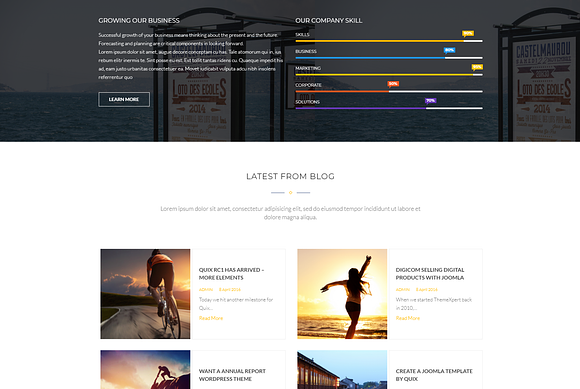 Orvil in WordPress Business Themes - product preview 2