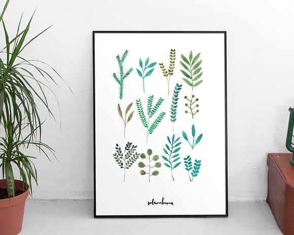 Leaves collection in Illustrations - product preview 2